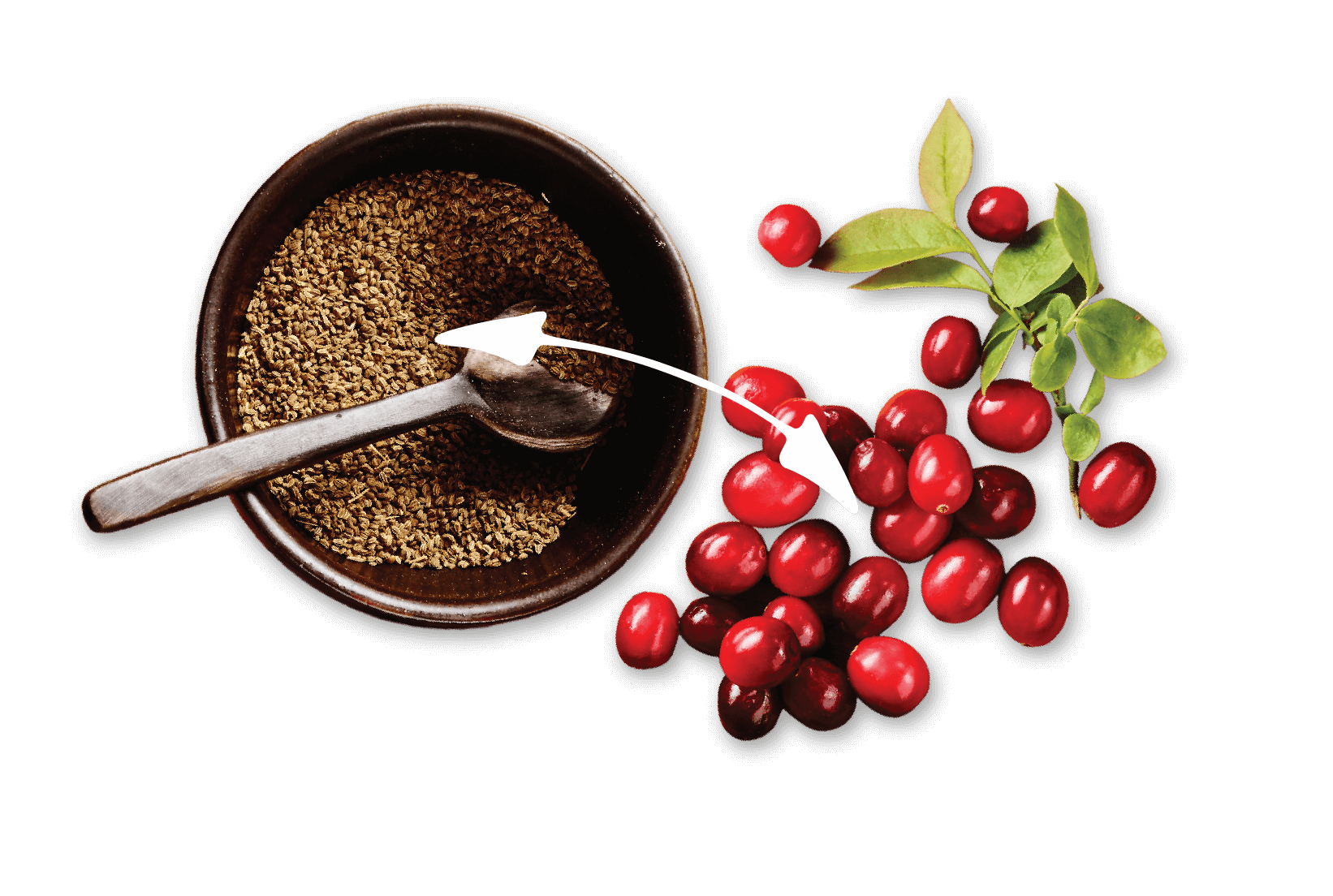 Cranberries + Selderij Zaden = Gezonde Blaas