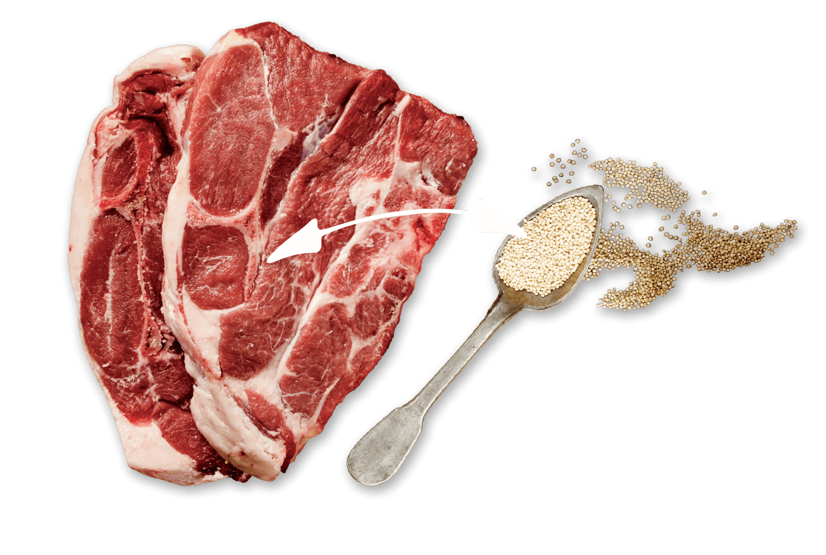 Lam + Quinoa = Spierkracht